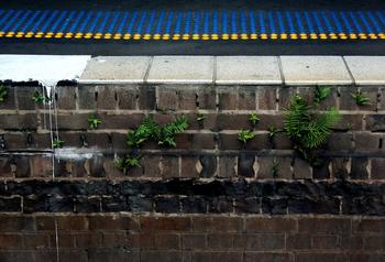 ��Ͳ��ǧ��������Ƶ��9����ͽϮ���½�ɯ���ع����� 8�˱��񾯻���...